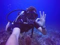 #4-1 Канкун: подводный мир (дайвы Nr.1 и Nr.2)