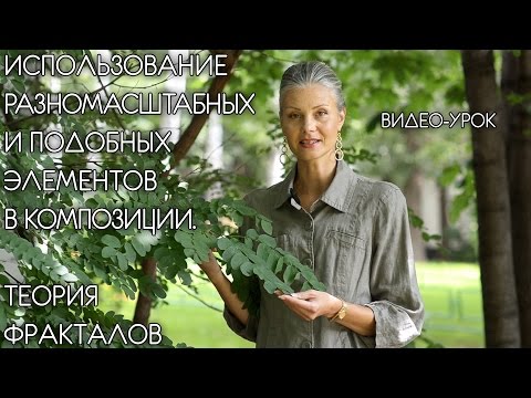 Вопрос: Как выстроить композиционный центр фотографии?