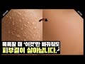 피부 좋아진 사람은 이렇게 때를 밉니다. 하루만에 100% 효과 보는 때밀이방법 공개