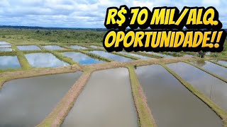 Fazenda a venda no Maranhão em Estreito MA 