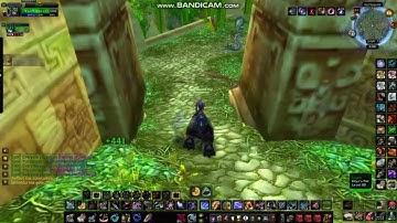 WotLK Classic - Zul Gurub Mount run - Solo BM Hunter