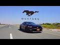 تفكر في فورد موستانج هذا الفيديو لك Ford Mustang تفكر في فورد موستانج هذا الفيديو لك Ford Mustang