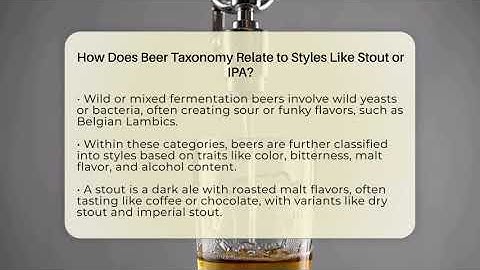 How Does Beer Taxonomy Relate to Styles Like Stout or IPA? - The Pint Guy