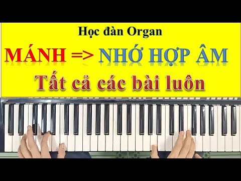 *Thủ thuật và Mánh khóe* - Cách nhớ Hợp âm tất cả các bài hát | Trần Sang Keyboard suy nghĩ ra hết