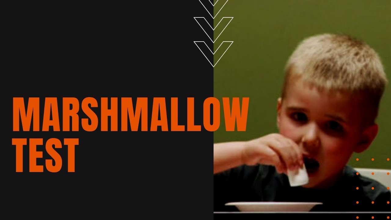 What is the Marshmallow Test? YouTube