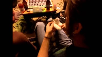 Elastic - Seedless (Material) Official Video