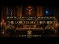 Gregorian Chant for Peace, Healing & Prayer ✨ Dominus Regit Me (The Lord Is My Shepherd) | Psalm 23