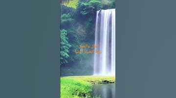 سورة الكهف (الْمَالُ وَالْبَنُونَ زِينَةُ الْحَيَاةِ الدُّنْيَا ۖ )
