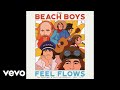 The beach boys  big sur audio