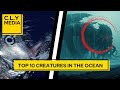 Top 10 Creepiest Deep-Sea Creatures