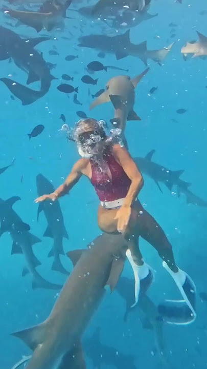 Travel influencer captures moment she's bitten by shark