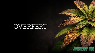 Over-fertilization: how to manage it in organic and inert soil.