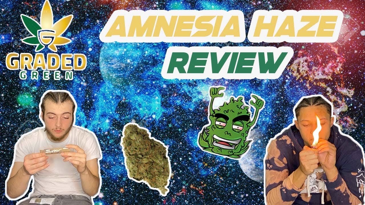 AMNESIA HAZE THE BEST CBD WEED WE’VE SMOKED ??| @GRADEDGREEN | SPACEBOYZ