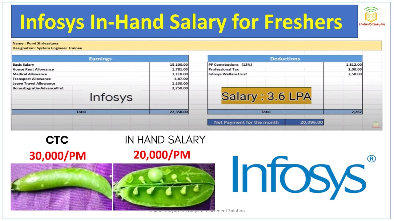 Infosys In Hand Salary For Freshers | Infosys Salary After All Deduction | Infosys Salary Slip