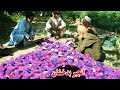 میوه های بدخشان، انجیر، سیب، شفتالو، دهکده باغ مبارک، قصه های بدحشانی Badakhshan Faizabad