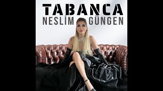 Neslim Güngen - Tabanca Resimi