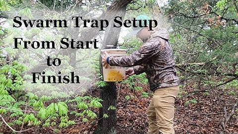 Swarm Trap Setup