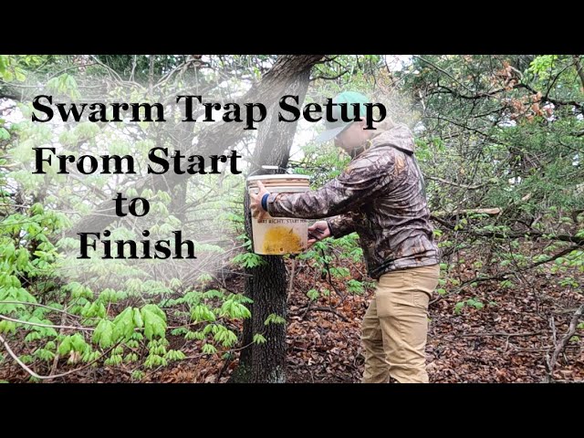 How to make a Swarm Trap (Cheap and Easy) 