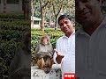 😂 “जब बंदर बना मेरा दोस्त! | 10 सेकंड की फनी कहानी” #reels #shortvideo