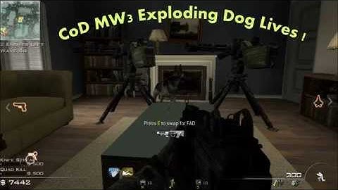 CoD Mw3 Exploding Dog and Lives Glitch