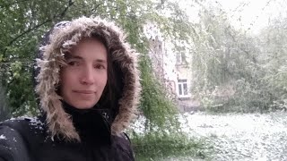 Майский снегопад в Петербурге