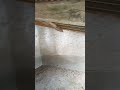 dans le lavoir, la caillaudiere, 36