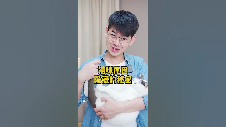 貓咪尾巴隱藏的秘密 - 天天要聞