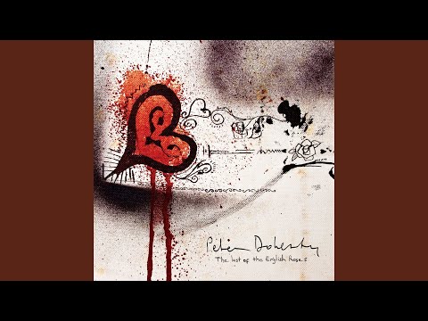 Pete Doherty — Don't Look Back