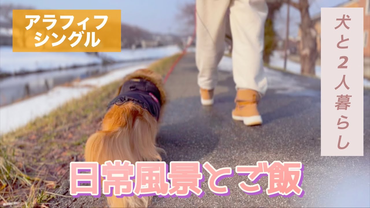 vlog17 日常の風景とご飯【アラフィフ・シングル】【犬と2人暮らし】【4毒抜きご飯】