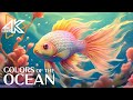 Aquarium 4K VIDEO (ULTRA HD) 🐠 Mesmerizing Underwater World - Calming Aquarium Music #3