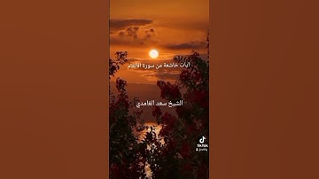 من سورة الأنعام الشيخ سعد الغامدي #القرآن_الكريم #أدعية_مستجابة #cupcut #viralvideo #duet 🍁🌿🤲