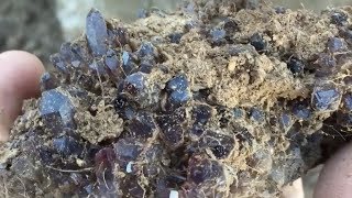 Digging a Pocket of Amethyst Clusters