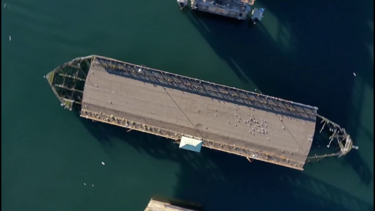 Glebe Island Bridge 190512