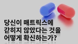 [카오스 술술과학] 다중우주 (9) : 시뮬레이션 다중우주 & 궁극적 다중우주