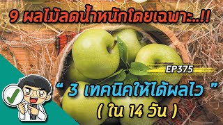 9 ผลไม้ลดน้ำหนักโดยเฉพาะ + 3 เทคนิคให้ได้ผลไวใน 14 วัน | EP375