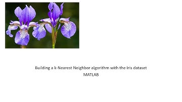 Building a k-Nearest Neighbor algorithm with the Iris dataset | MATLAB