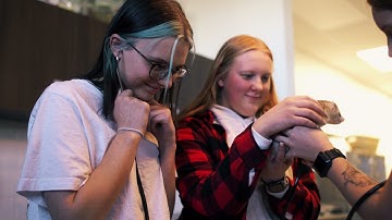 All About AmTech Preview Video