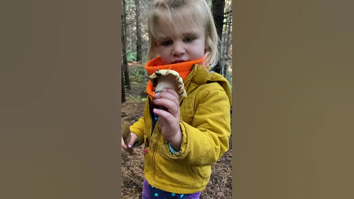 Thea finds a mushroom