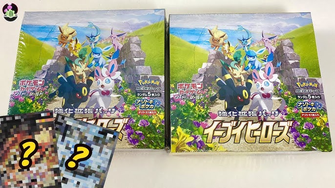 Eevee Let's learn with Pokemon card Weight Unit of height Not For Sale  Japan