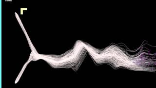 swarm - processing