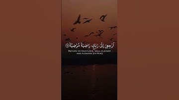 طمأنينة لقلبك" قرآن كريم بصوت ياسر الدوسري حالات واتس اب 💛