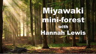 Miniforests  Hannah Lewis discusses the Miyawaki Method