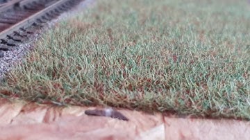 Peco static grass range review
