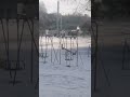 Russian special forces pushes into Kharkiv