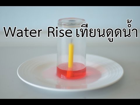 Water Rise เทียนดูดน้ำ
