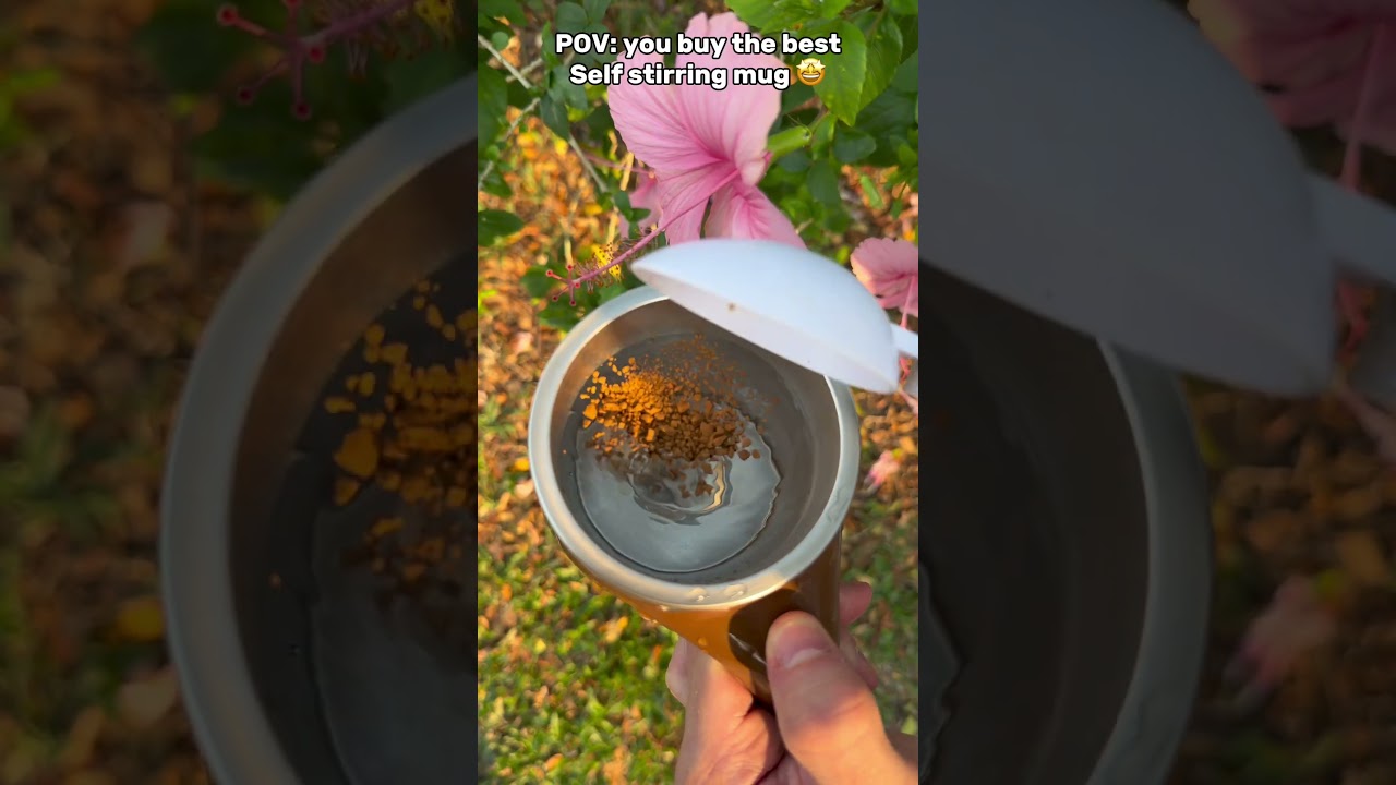 I Bought the Best Self-Stirring Mug