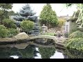 Superbe jardin Japonais multi bassin a koi