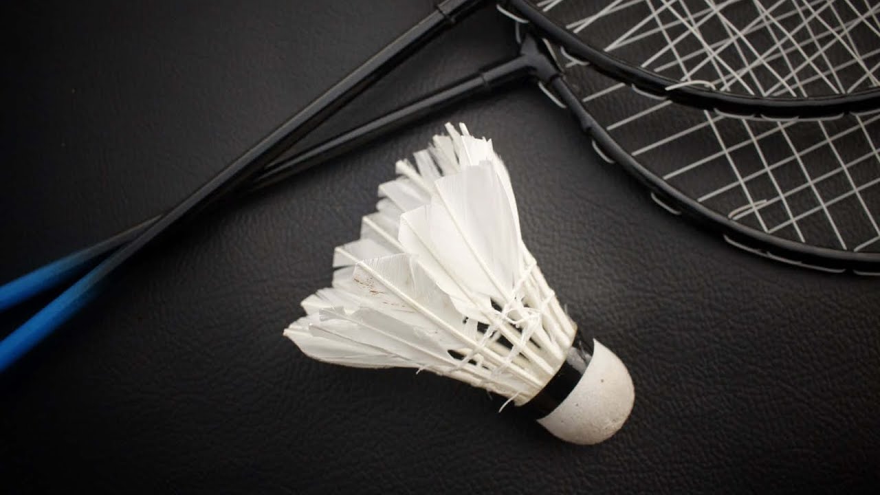 Badminton 🏸 🏸 🏸 🏸 🏸 🏸 play Pain zone martial arts 💪🥋 hand 