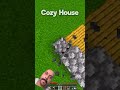 Crazy house 🏡 #minecraft #shortvideo #memes