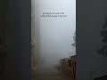 #winter #fog #ghazal #morning #viral #life #city #cool #december #trending #nature #walking#shayari